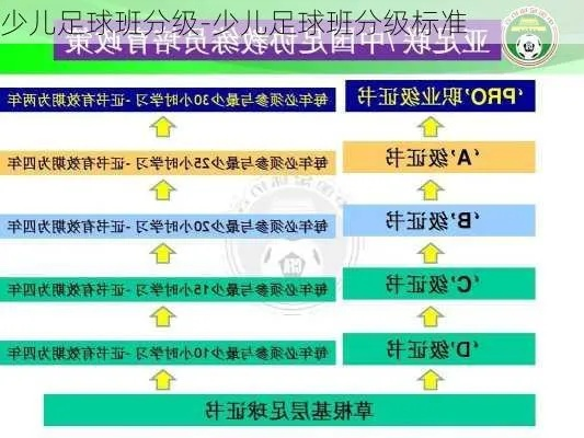 全国青少年足球考级详解，助你成功晋升足球等级